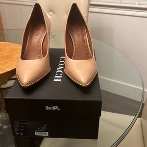 Coach Parker BC 85 Ltr Pump